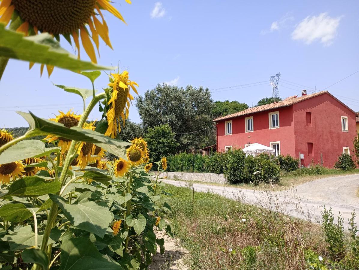 La Casa Rossa Bed and Breakfast Coiano Eksteriør billede